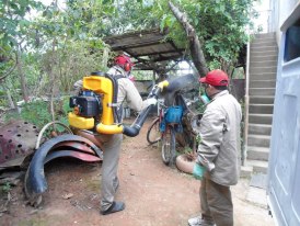 DENGUE 66183_155658877921321_374615715_n